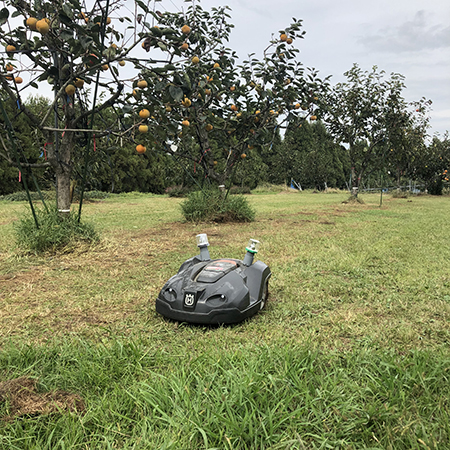 農業