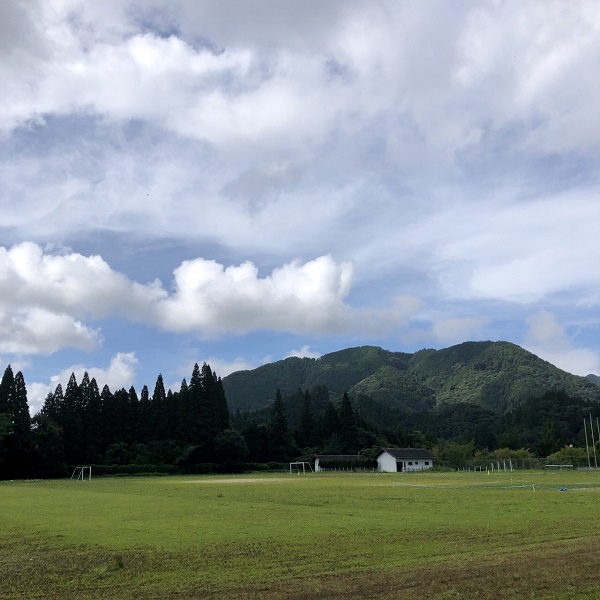緑化の事例(一部抜粋)