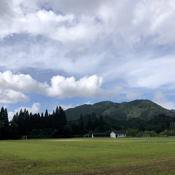 緑化の事例（一部抜粋）