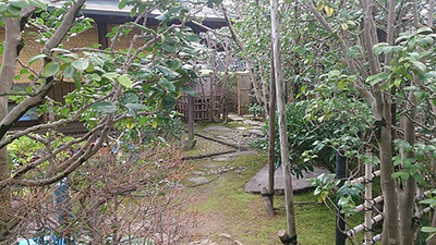 天然竹垣の茶庭