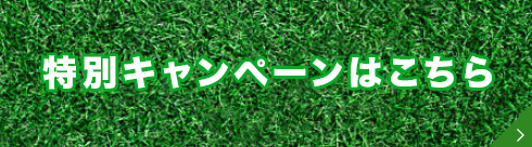 特別キャンペーンはこちら