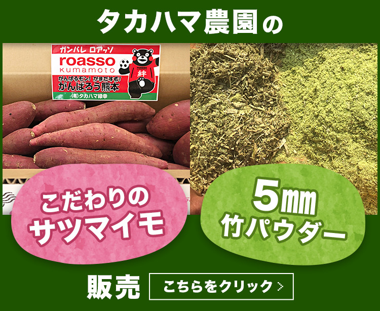 タカハマ農園のこだわりのサツマイモ・5mm竹パウダー販売